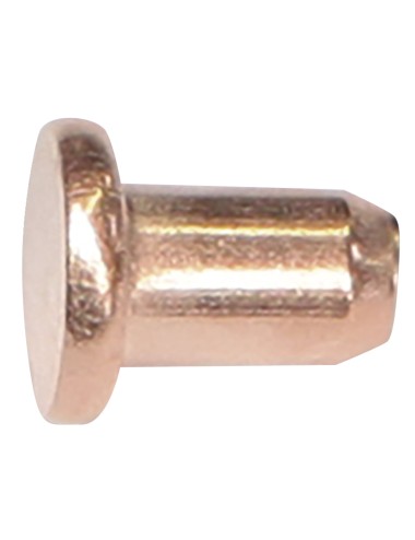 100 Rivets Diam. 3 X 4.5